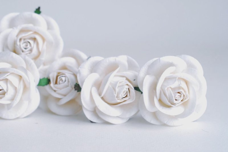纸花，DIY，20 件，中心装饰品小玫瑰，尺寸 4.5 厘米，白色。 - 其他 - 纸 白色