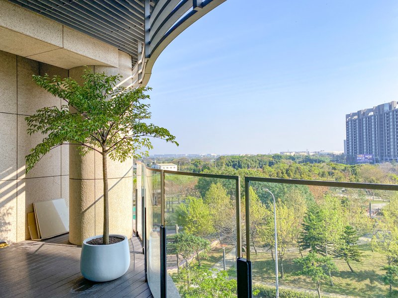 【高光植栽】 森木凉伞 (L型) | 水磨石瓮盆(50cm) 订制请洽客服 - 植栽/盆栽 - 植物．花 