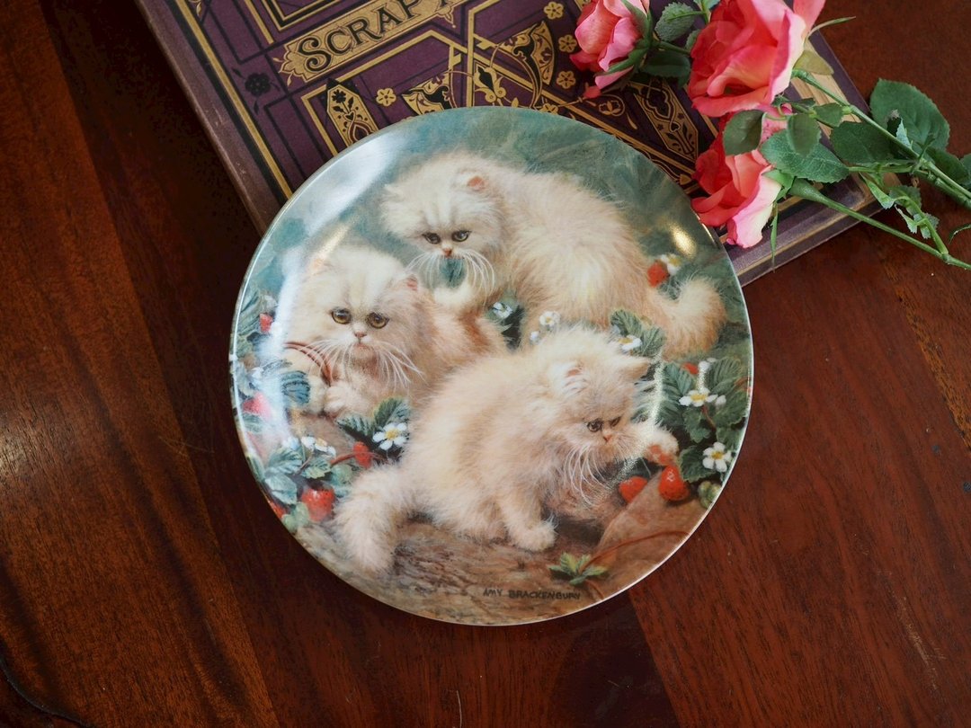 Amy Brackenbury-Strawberries and Cream-Cream Persians 收藏盘 - 摆饰 - 瓷 