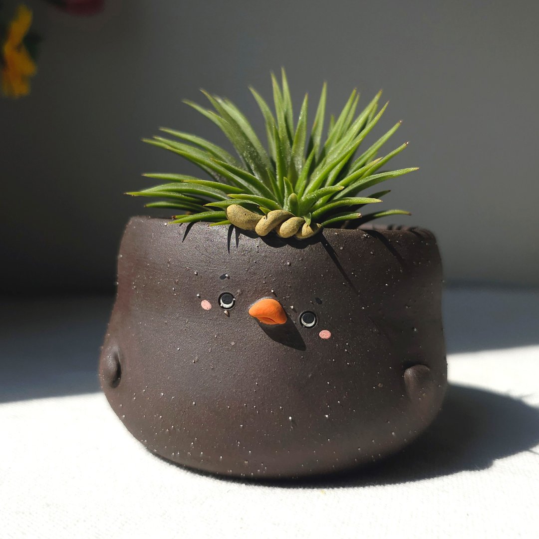 Black shy face ducky plant pot. - 植栽/盆栽 - 陶 