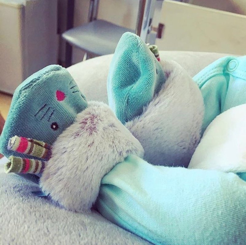 法国 Moulin Roty 帕奇宝宝专用饱暖鞋套礼盒组 0-6个月 - 婴儿鞋 - 棉．麻 绿色