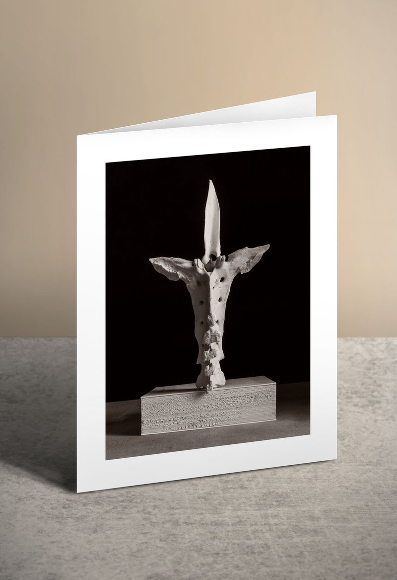 艺术万用卡 | 冯君蓝 静物+骨中骨 双系列 | 全套8入 - 卡片/明信片 - 纸 多色