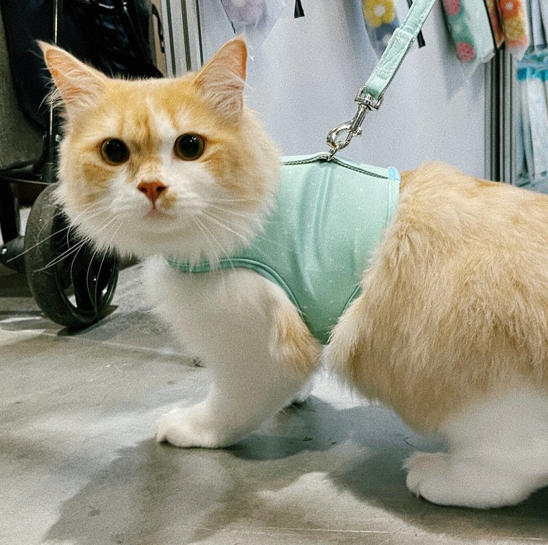 SHAPU 大角度胸背衣-绿十字(不含牵绳) - 项圈/牵绳 - 聚酯纤维 