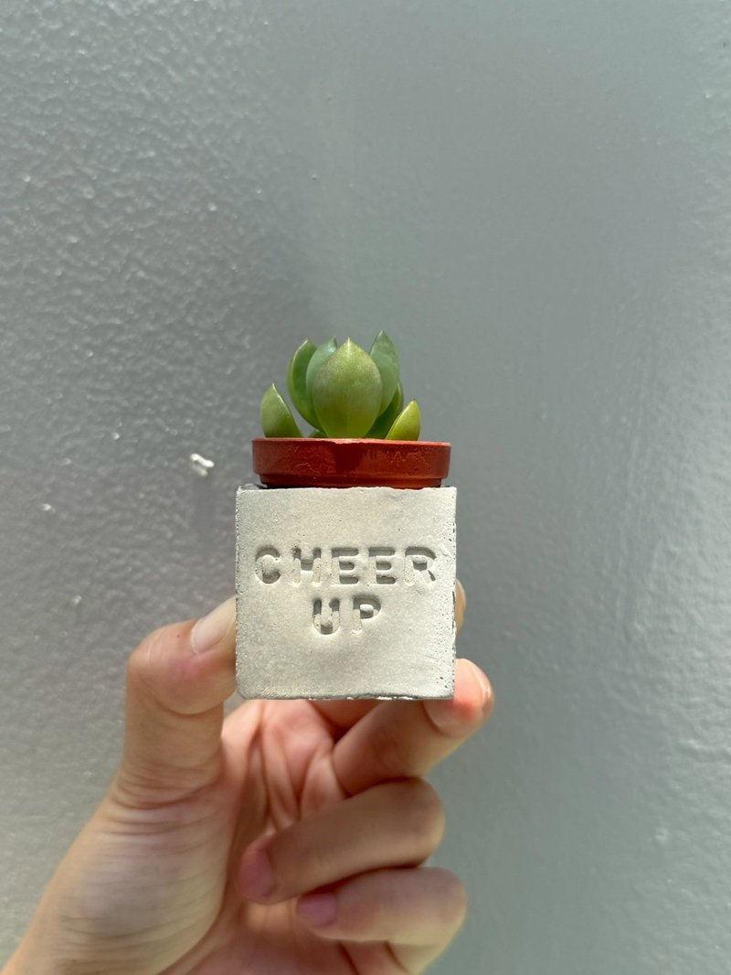 Cheer up加油！！多肉磁铁盆栽 - 植栽/盆栽 - 水泥 
