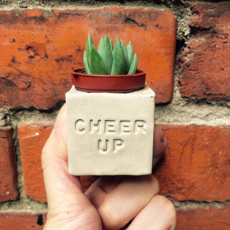 Cheer up加油！！多肉磁铁盆栽 - 植栽/盆栽 - 水泥 
