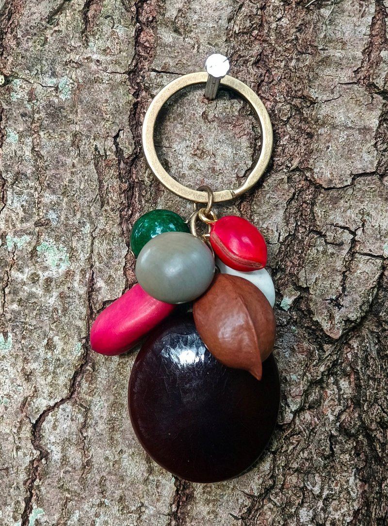 果实种子钥匙圈-恒春鸭腱藤-健康平安刮痧 - 钥匙链/钥匙包 - 其他材质 