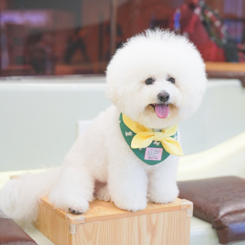 【Downy Bichon】拼色三角宠物围兜 | Mobi Wardrobe - 衣/帽 - 棉．麻 绿色