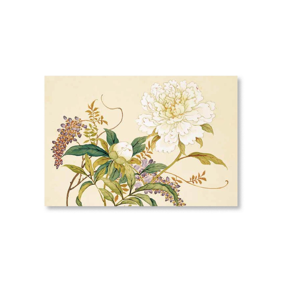 【明信片・Postcard】沈振麟・十二月花神 芍药紫藤 - 卡片/明信片 - 纸 卡其色