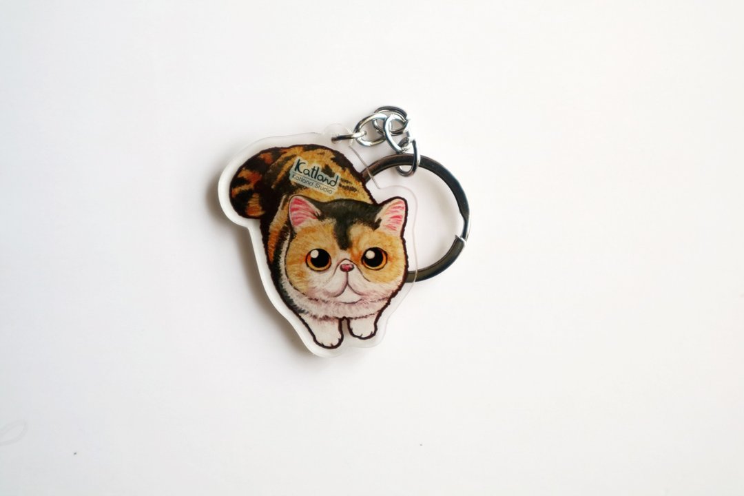 异国短毛猫 波斯猫 匙扣 cat keychain C15 - 钥匙链/钥匙包 - 塑料 卡其色
