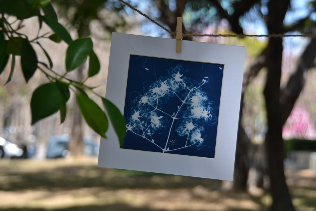 植物剪影。手作蓝晒框画 - 墙贴/壁贴 - 纸 蓝色