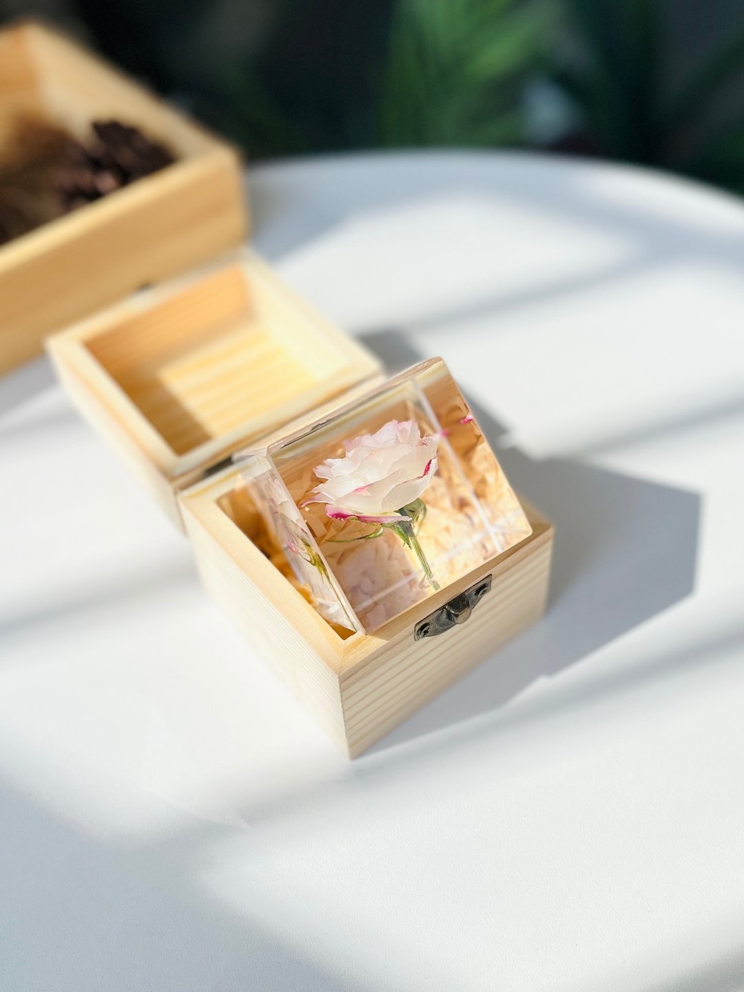 感动/铭记于心--粉色玫瑰折射泡泡 乾燥花標本禮品 - 摆饰 - 树脂 粉红色