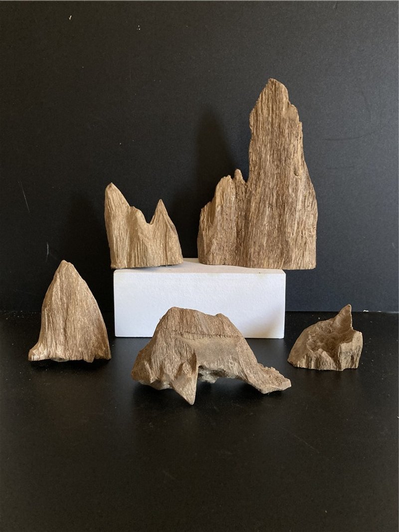 【日常款桌上小摆件】野生加里曼丹沉香 (内可挑造型) 风水摆件 - 摆饰 - 木头 