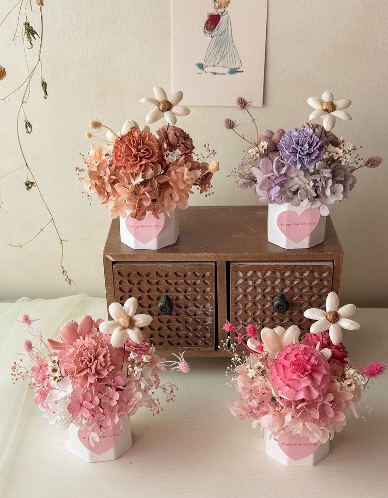 母亲节花礼 康乃馨 扩香 小盆花 - 干燥花/捧花 - 植物．花 粉红色