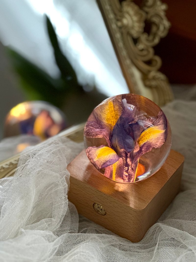 鳶尾花真花標本水晶球夜燈 - 灯具/灯饰 - 树脂 紫色