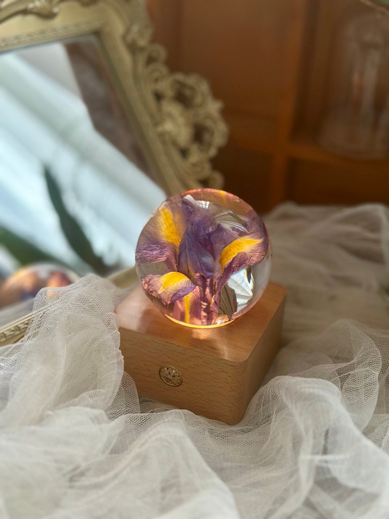 鳶尾花真花標本水晶球夜燈 - 灯具/灯饰 - 树脂 紫色