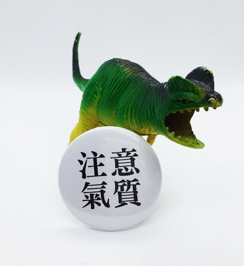 【注意气质】 Li-good 4.4cm别针 - 徽章/别针 - 其他金属 白色