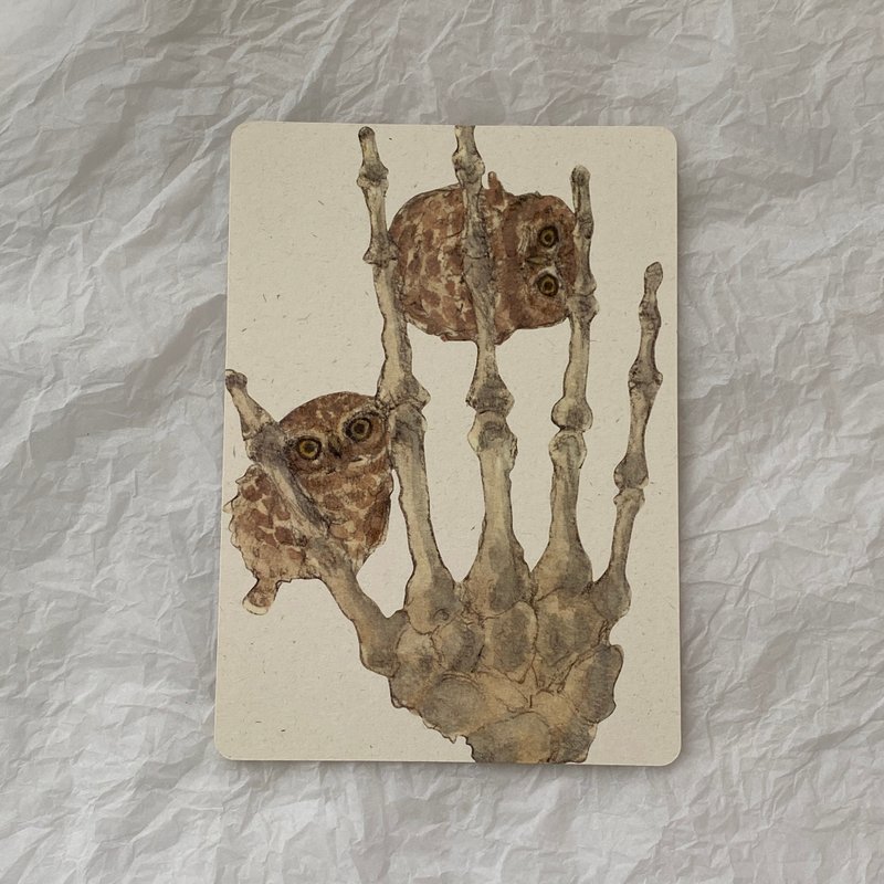 穴鸮 水彩 圆角明信片 - 卡片/明信片 - 纸 