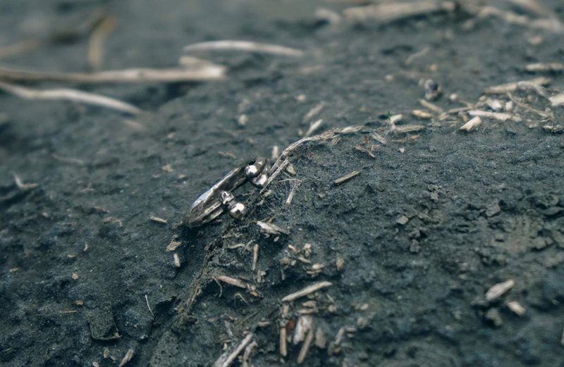 【骸骨#010】耳骨夹 - purebring - 耳环/耳夹 - 纯银 银色