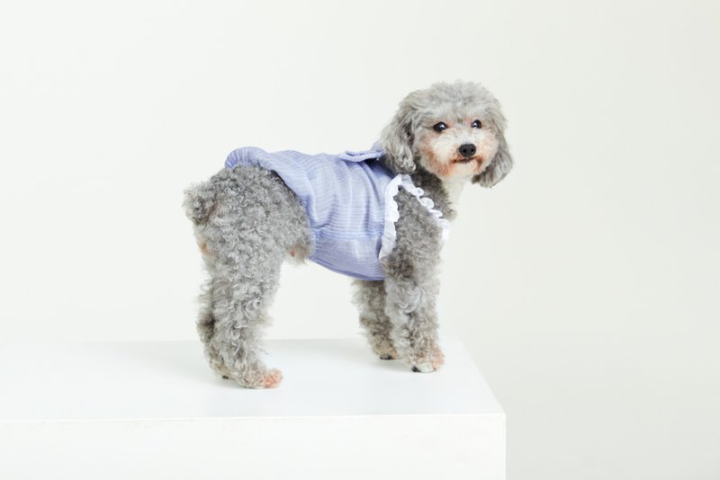 Urban系列 宠物天丝裙 - 衣/帽 - 其他人造纤维 蓝色