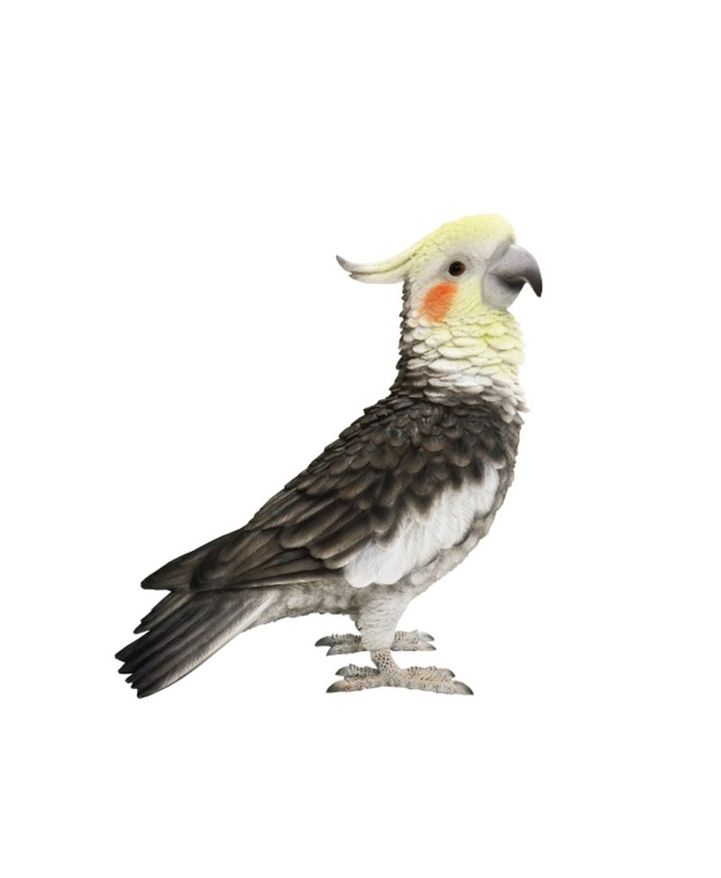 日本Magnets超大鸡尾鹦鹉回纹针吸铁/桌上摆饰/文具收纳-现货 - 其他 - 其他材质 黄色