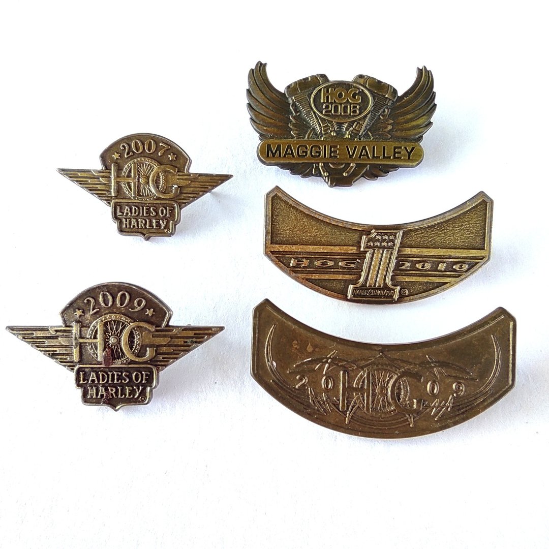 Lot 5 PCS Harley Davidson  HOG  Ladies of Harley Collectors Pin Badge - 胸针 - 铜/黄铜 卡其色