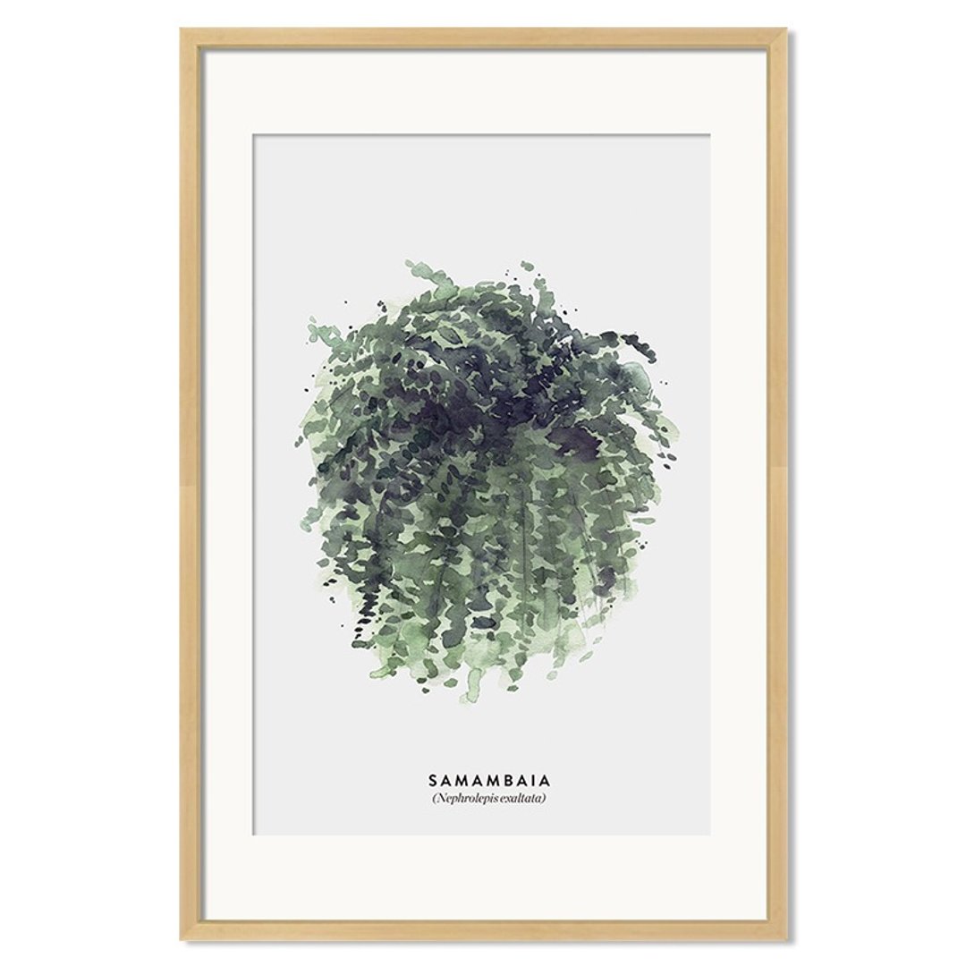 异见定制家居装饰画-肾蕨单幅 - 海报/装饰画/版画 - 其他材质 