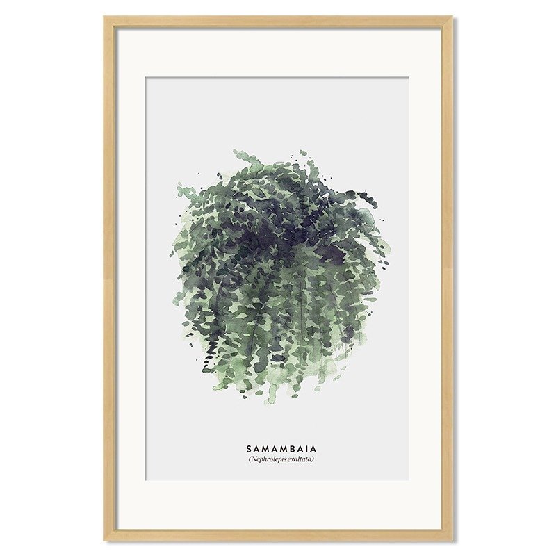 异见定制家居装饰画-肾蕨单幅 - 海报/装饰画/版画 - 其他材质 