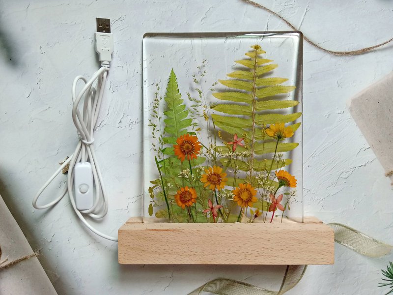 手作押花疗愈LED小夜灯 | 花花草草 - 灯具/灯饰 - 树脂 多色