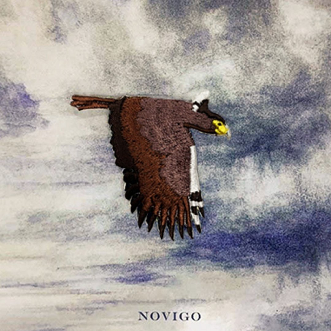 Novigo 台湾动物熨烫刺绣 / 大冠鹫 - 徽章/别针 - 绣线 