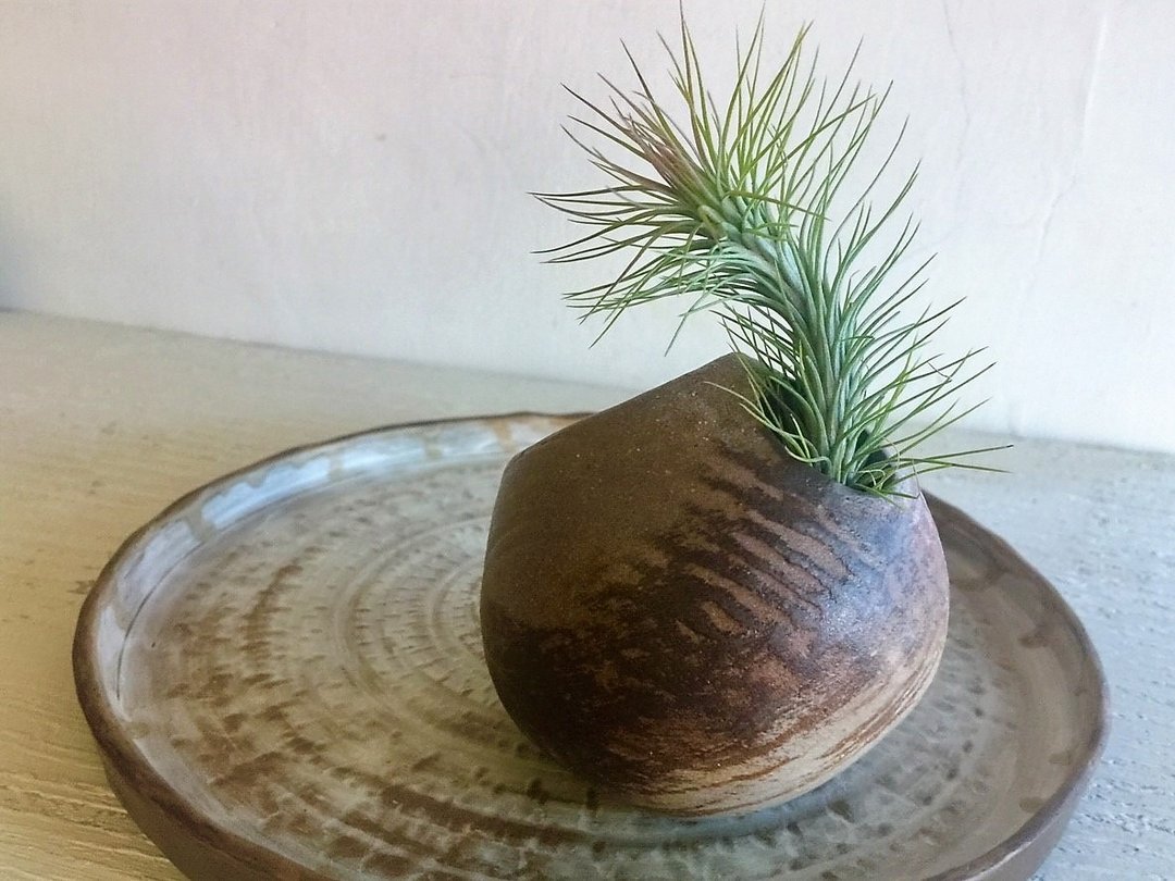 圆洞洞盆栽系列–烧色双开口_陶器花器盆栽 - 植栽/盆栽 - 陶 咖啡色