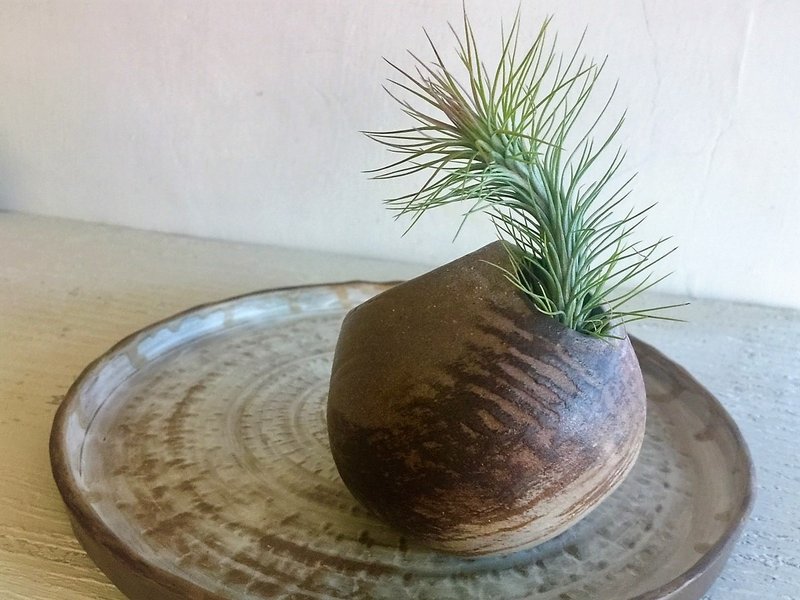 圆洞洞盆栽系列–烧色双开口_陶器花器盆栽 - 植栽/盆栽 - 陶 咖啡色