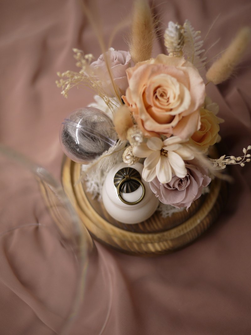 宠物永生花玻璃盅 | 天上的温暖云彩 - 植栽/盆栽 - 植物．花 橘色