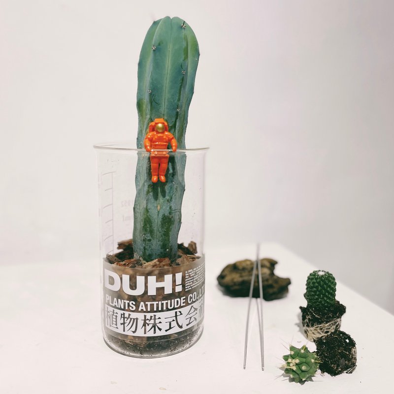 太空电梯 植物株式会社 - 植栽 - 植物．花 绿色