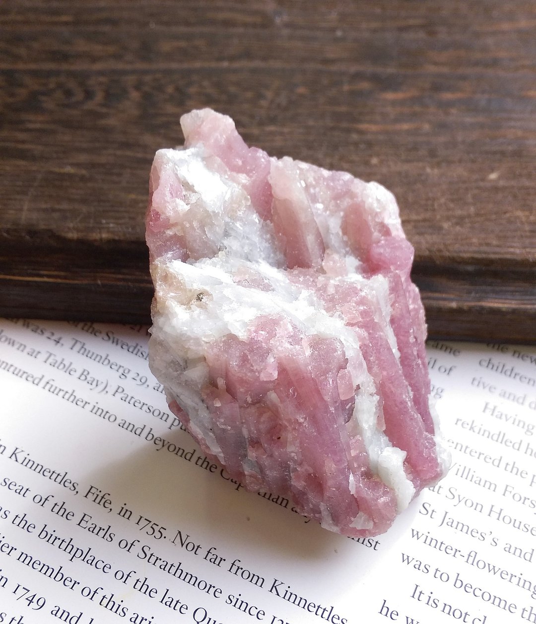 Tourmaline  巴西产地 电气石 粉碧玺 天然矿石 原矿 - 摆饰 - 其他材质 