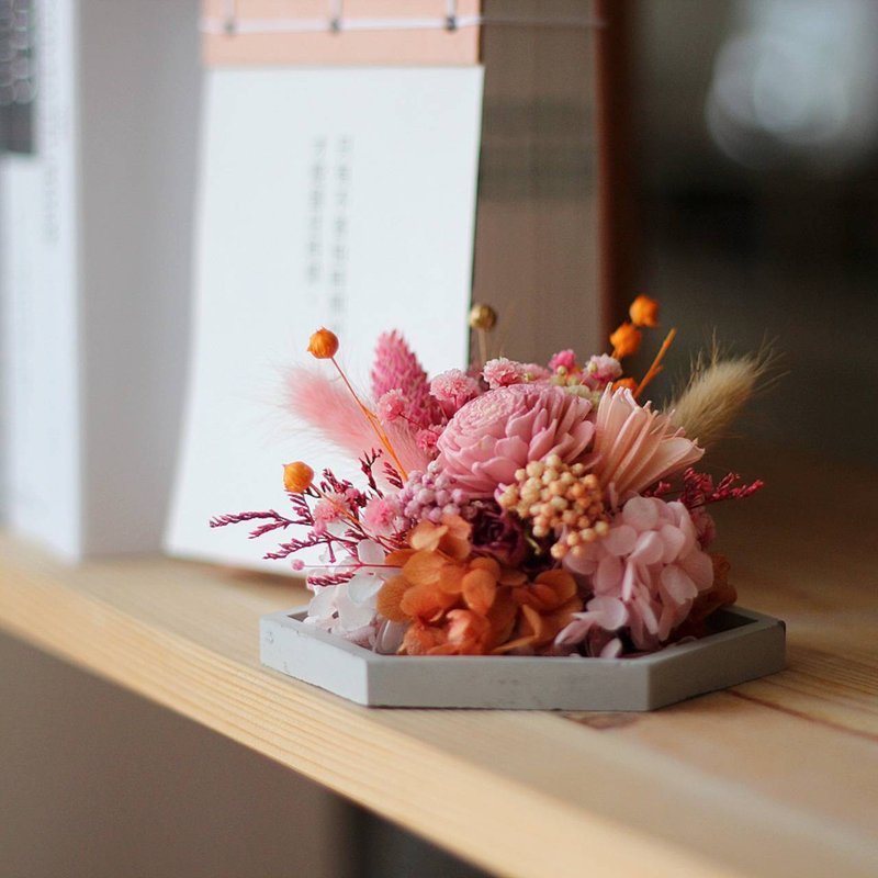 【在线DIY材料包】水泥六角扩香花盘 - 植栽 - 植物．花 