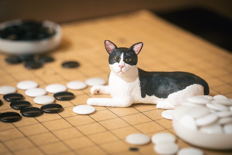 猫咪 定制化宠物手工黏土模型 大型 - 玩偶/公仔 - 粘土 橘色