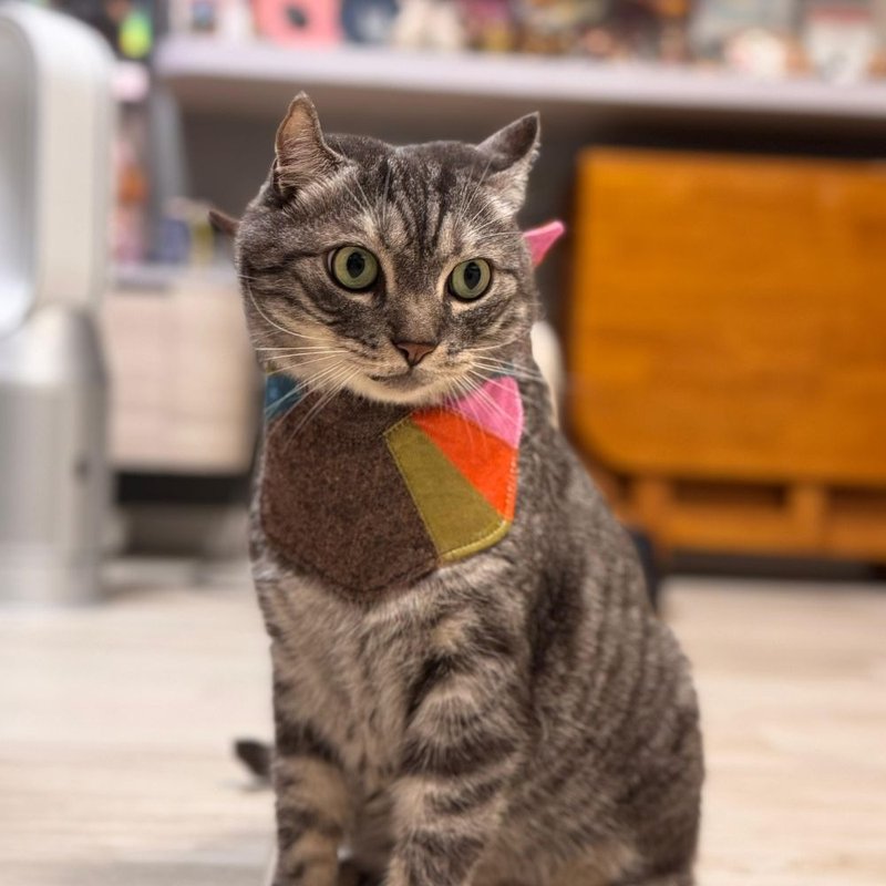 宠物披肩 - 衣/帽 - 棉．麻 多色