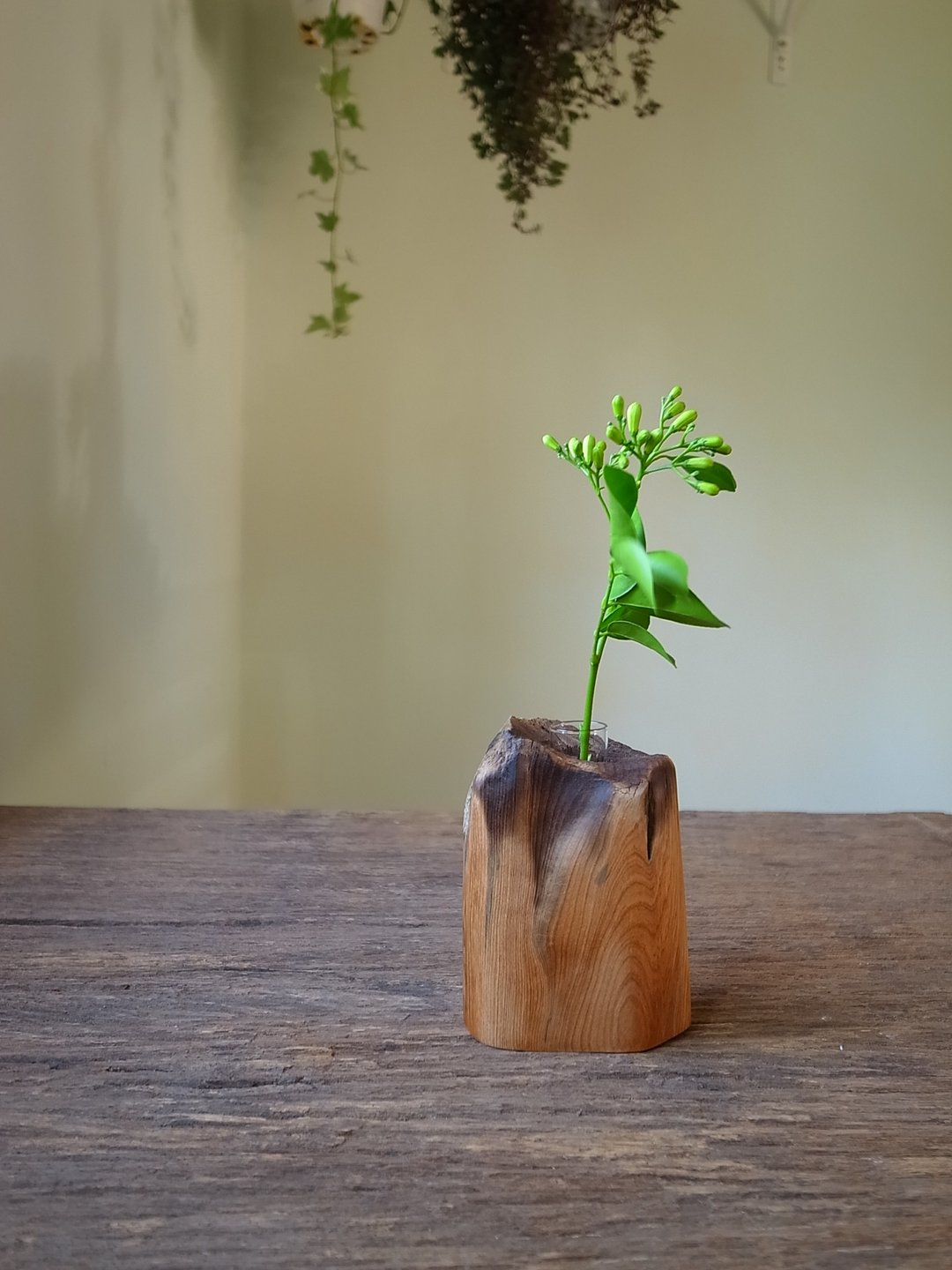 小山丘桧木花器 / 手作 / 原木 / 插花 / 重油 - 植栽/盆栽 - 木头 咖啡色