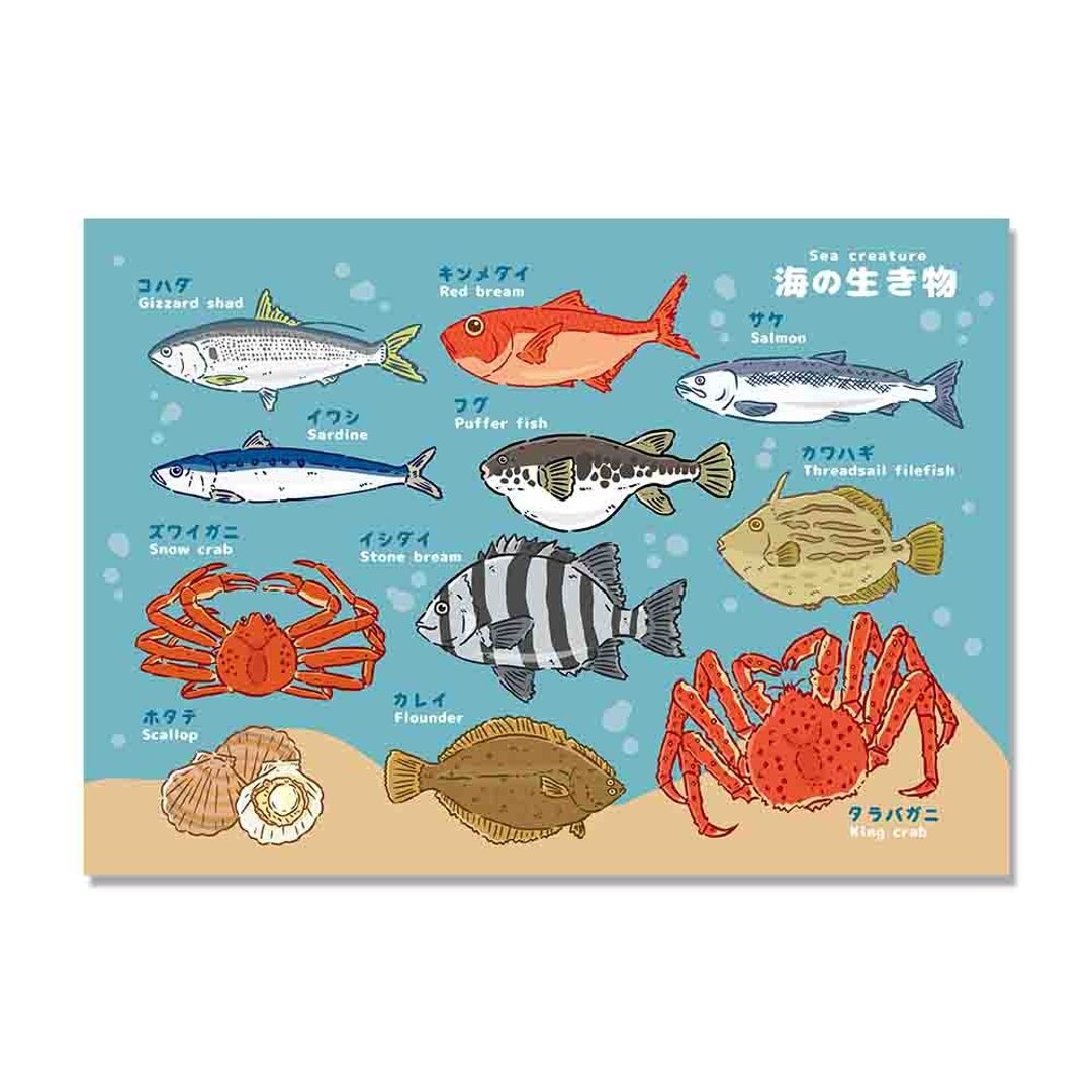 A4图鉴海报-海底图鉴(2款) - 海报/装饰画/版画 - 纸 