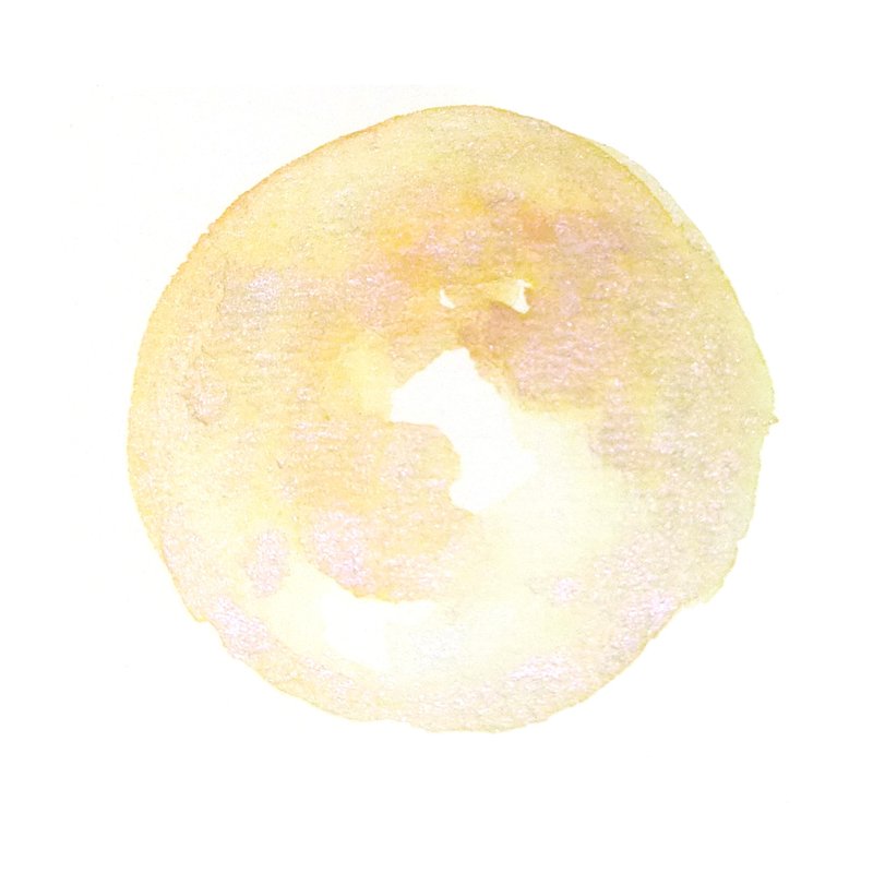 变色珠光手工水彩-沙漠玫瑰 - 其他 - 颜料 卡其色
