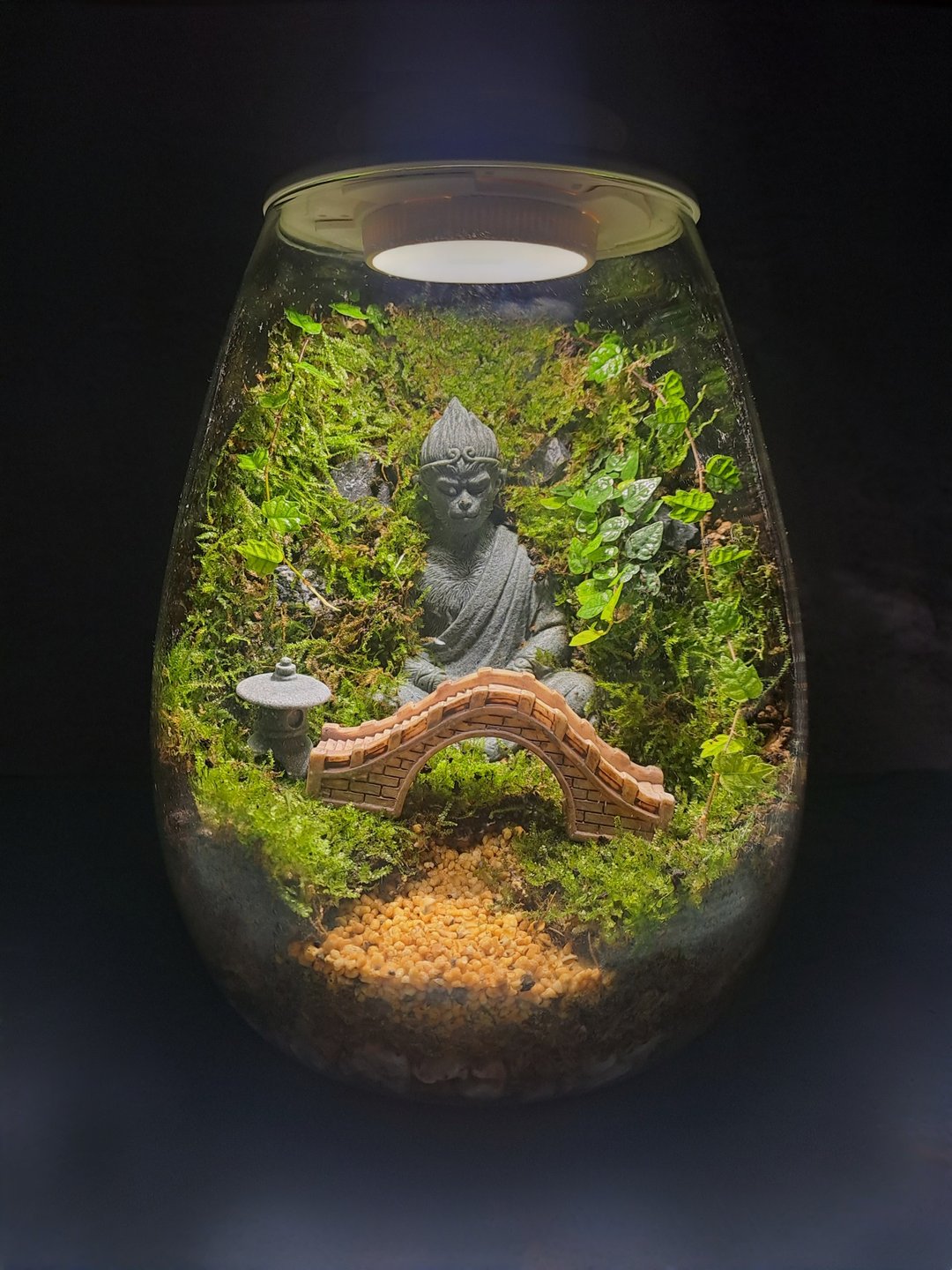 【苔疗愈】豪华生态瓶DIY材料包/母亲节礼物 - 植栽 - 玻璃 透明