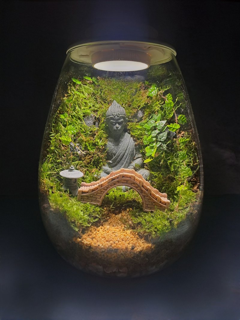 【苔疗愈】豪华生态瓶DIY材料包/母亲节礼物 - 植栽 - 玻璃 透明