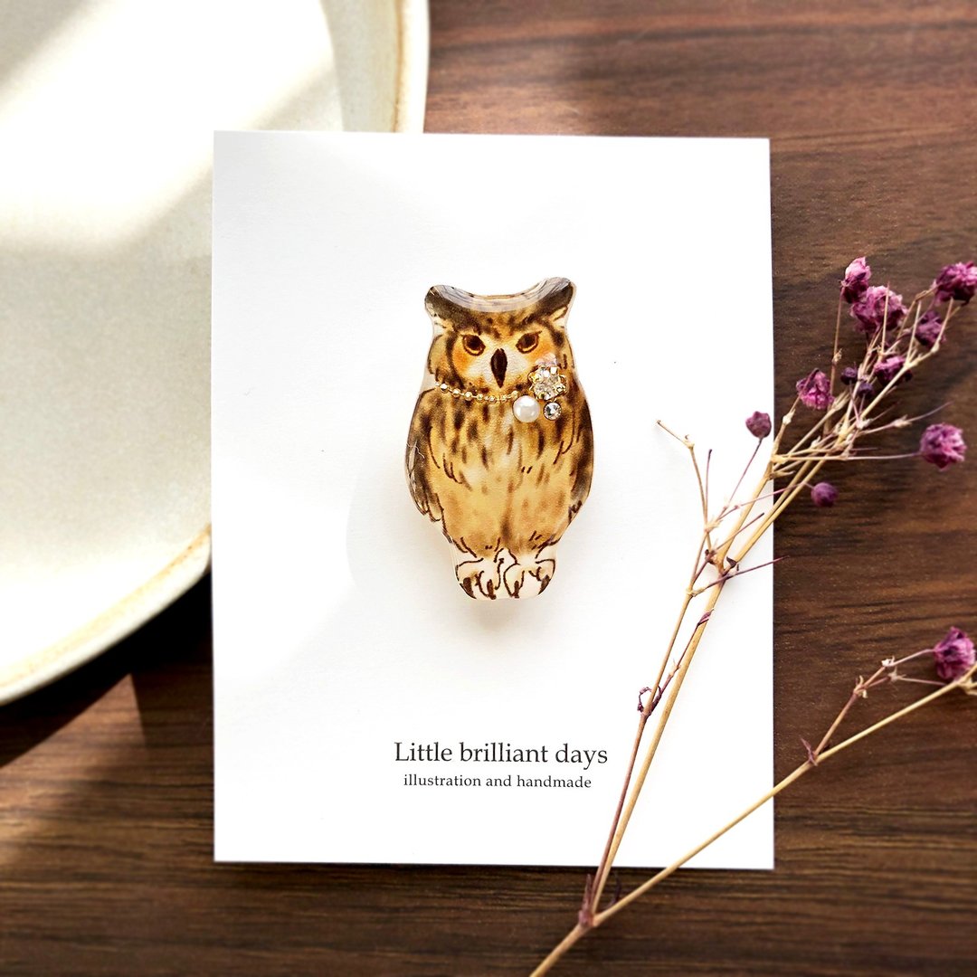 Eagle owl brooch Eagle owl brooch - 胸针 - 塑料 咖啡色