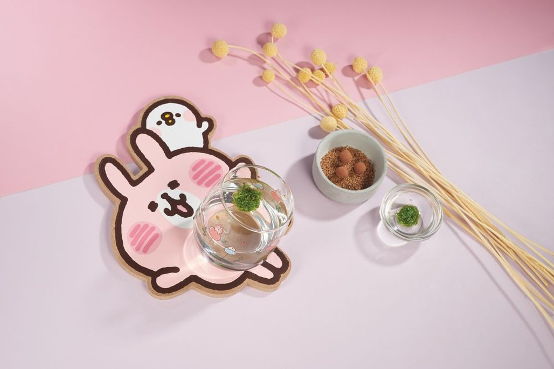 【DIY】卡娜赫拉的小动物摇滚不倒珍珠草杯  疗愈小物 植栽小物 - 植栽/盆栽 - 玻璃 粉红色