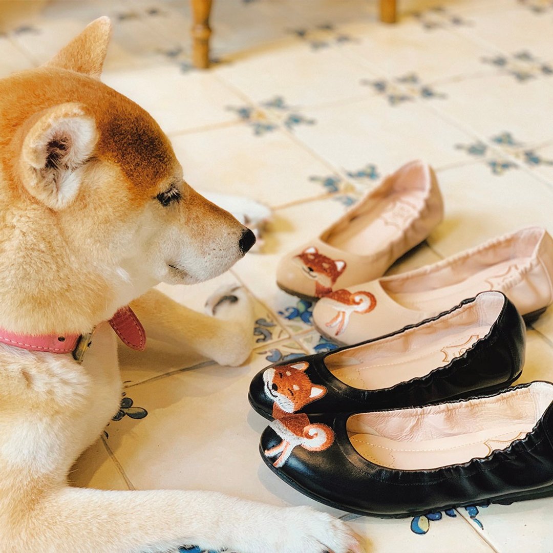 恭喜发柴 柴犬绣线芭蕾舞鞋 - 芭蕾鞋/娃娃鞋 - 真皮 黑色
