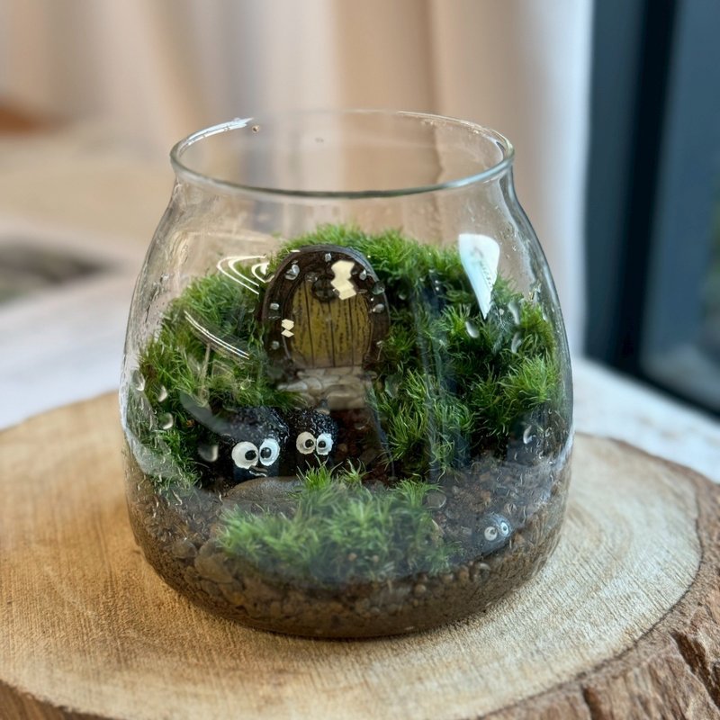 【新竹自取】精灵之门 苔藓缸.生态缸.造景 - 植栽/盆栽 - 植物．花 绿色