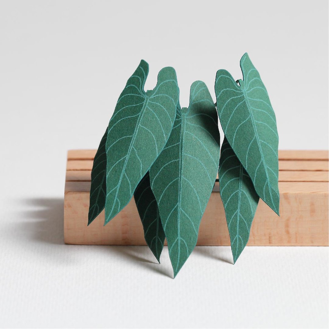 【立体植物贴纸】金叶喜林芋 (605013) FingerART纸雕纸艺术 - 贴纸 - 纸 绿色