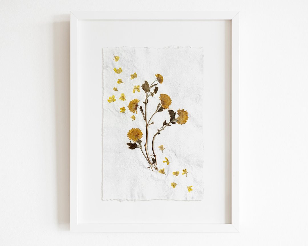 黄色迷你压花菊花绿色植物艺术品手工纸 - 海报/装饰画/版画 - 纸 黄色