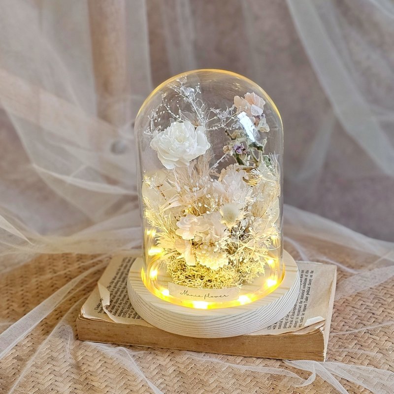 珍藏玫瑰玻璃罩 槽灯款 现货 快速出货 纯净之雪 - 干燥花/捧花 - 植物．花 白色