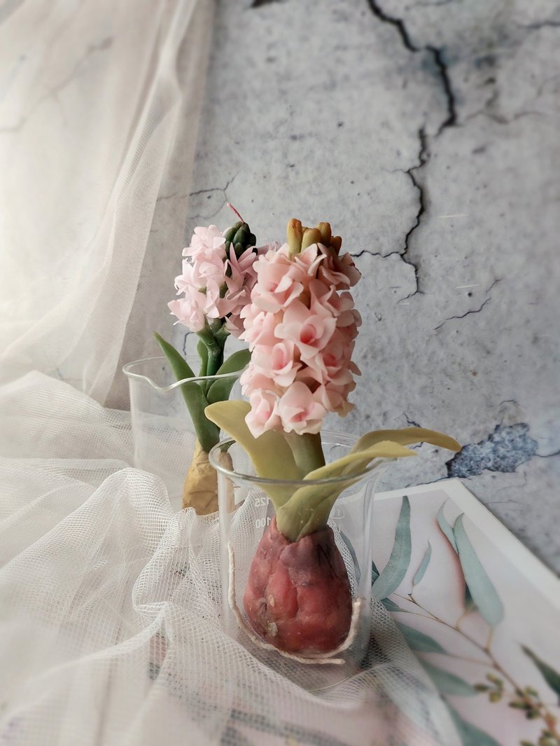 蜜蜡花课程 风信子 球根植物 1人开班 - 蜡烛/香氛 - 蜡 